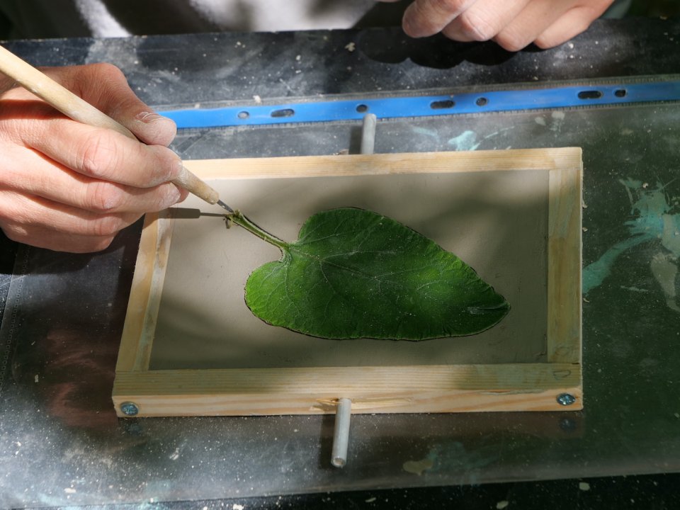 Réalisation des empreintes végétales sur argile avec Laurent Cerciat
